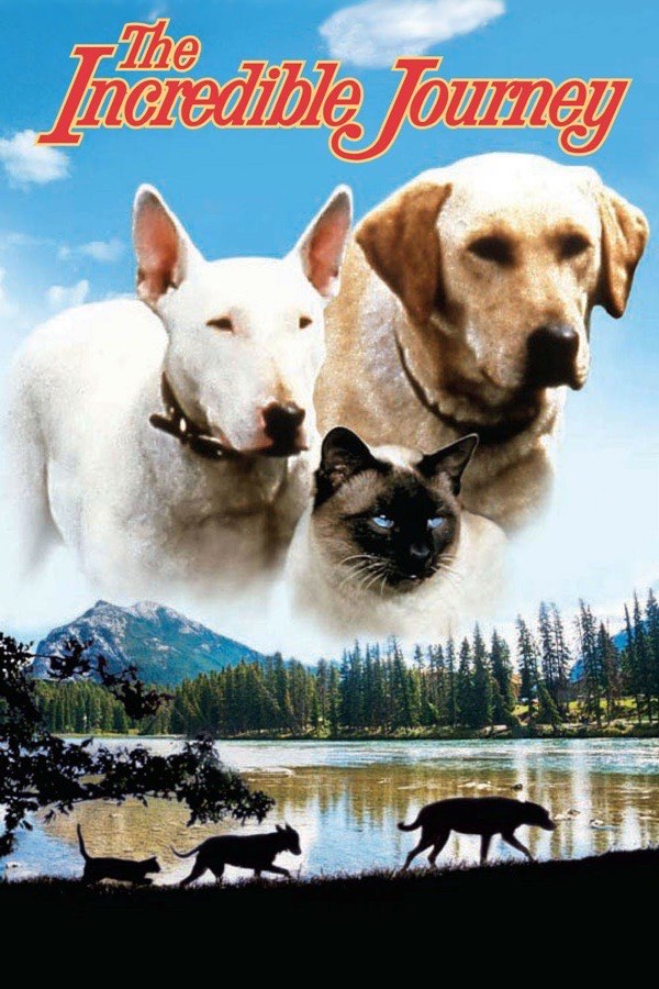 The Incredible Journey poster